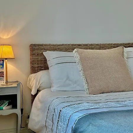Maison Grand Confort A Doelan, Vue Mer, Acces Chemins Cotiers Et Plage, Wifi, Parking - Fr-1-714-12